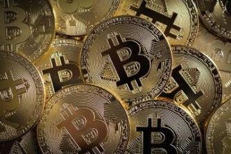 ape币最新价格_无聊猿币今日行情走势_ape币在哪个交易所？